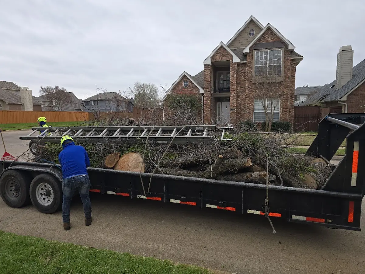 Expert Tree Fertilization with proper safety equipment in Ballwin